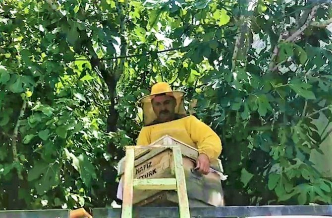 Oğul Veren Arılar Şehri Bastı