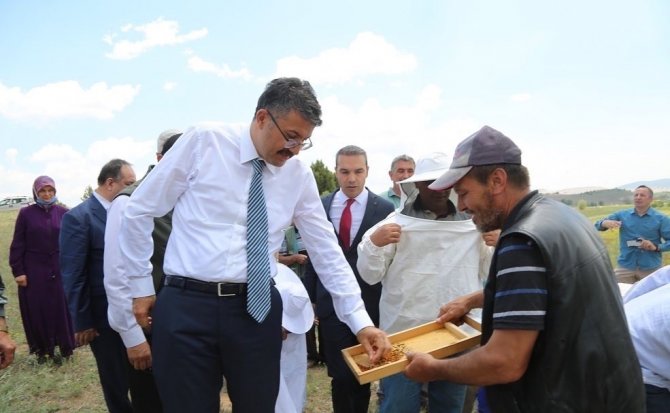 Emet’te Arıcılık Canlandırılıyor