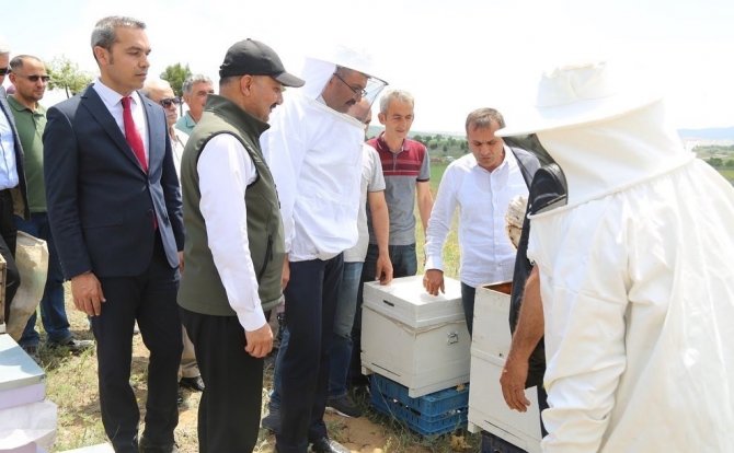 Emet’te Arıcılık Canlandırılıyor