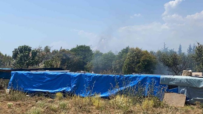 Fethiye’de Otluk Alanda Çıkan Yangın Korkuttu