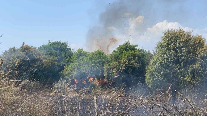 Fethiye’de Otluk Alanda Çıkan Yangın Korkuttu