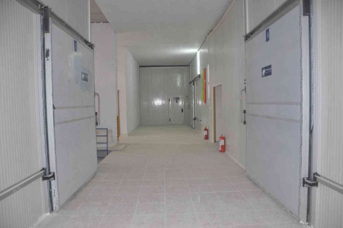 Genç Girişimci Kadın Devletin Desteğiyle Köyünde İş Kurarak Patron Oldu