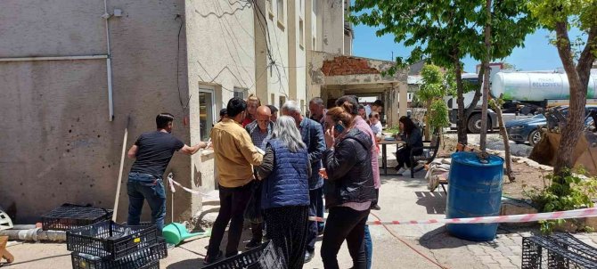Tunceli’de Vatandaşlara 65 Bin Adet Sebze Fidesi Dağıtıldı