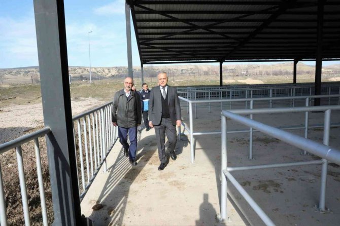 Suluova’da Yeni Hayvan Pazarı Hizmette