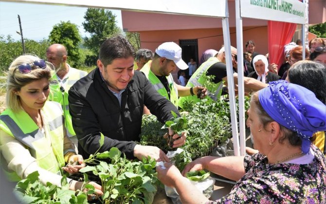 Ordu’da Üreticilere 200 Bin Adet Fide Desteği