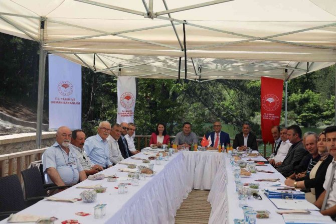 Şerbetçi Otunun Alım Fiyatı 27 Tl Olarak Belirlendi