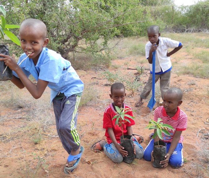 Lise Öğrencilerinden Kenya’ya Fidan Desteği