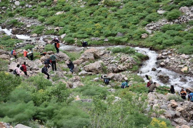 Şırnak’ta Ters Lale İçin Turlar Düzenleniyor