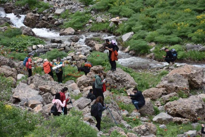Şırnak’ta Ters Lale İçin Turlar Düzenleniyor