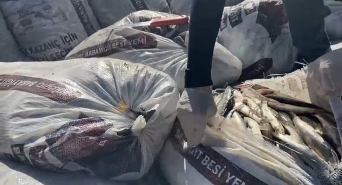 Muradiye’de 2.5 Tok Kaçak Avlanmış İnci Kefali Ele Geçirildi