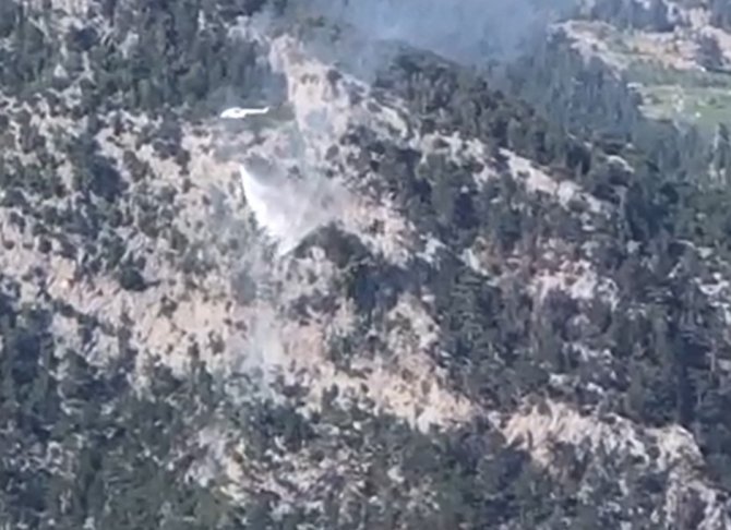 Alanya’da Orman Yangını