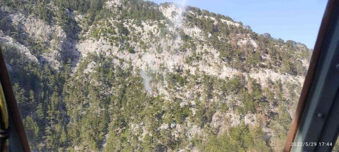Alanya’da Orman Yangını