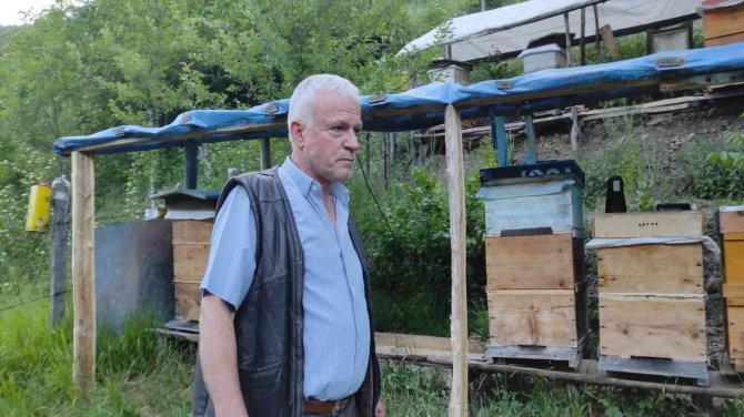 Ayı Vatandaşa Saldırdı, Köylüler Korku İçinde