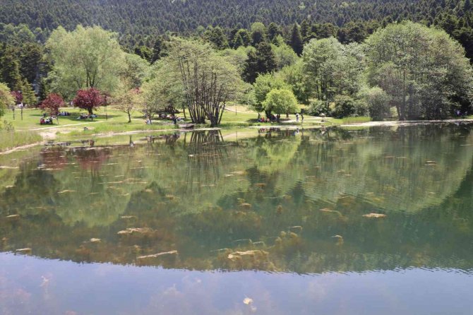 Tatilciler Sıcak Havada Gölcük Tabiat Parkı’na Akın Etti