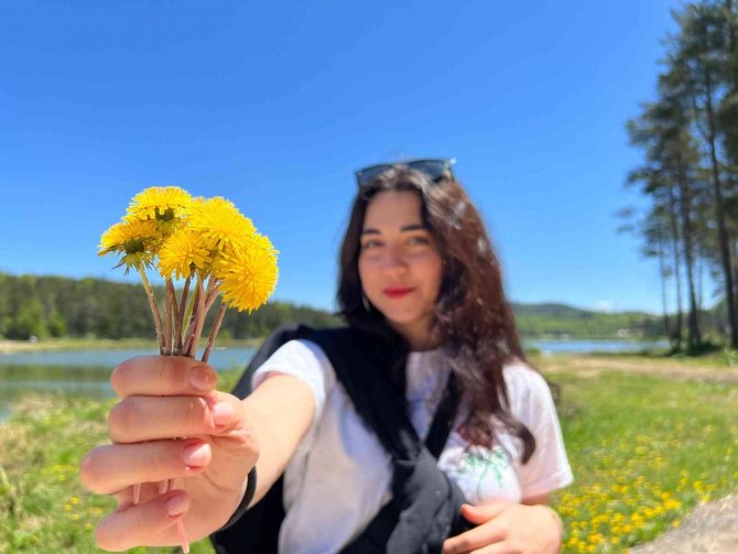 Doğa Tutkunlarının Rotası Topuk Yaylası Oldu