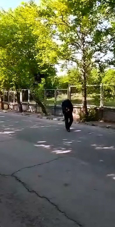 Yavrularını Korumak İsteyen Kargalar Vatandaşa Zor Anlar Yaşattı
