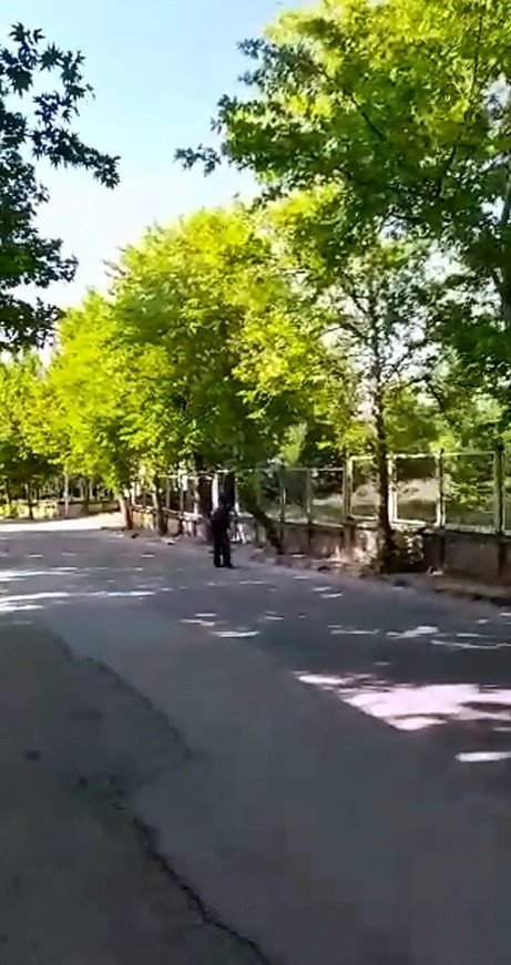 Yavrularını Korumak İsteyen Kargalar Vatandaşa Zor Anlar Yaşattı