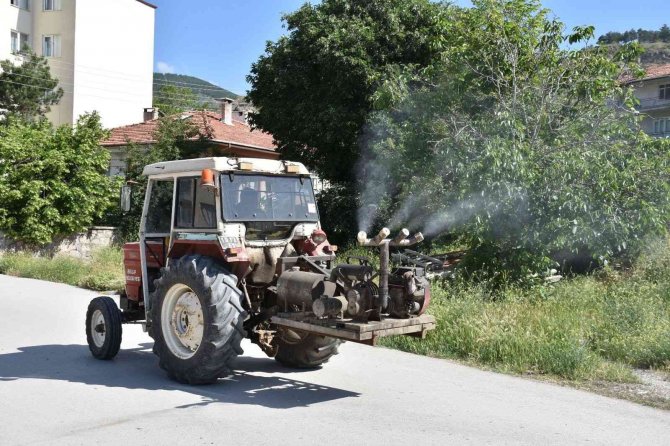 İ̇skilip’te Vektörel Mücadeleye Hız Verildi