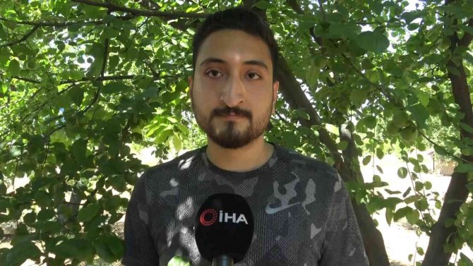 Meşhur İ̇znik Papaz Eriği Hasadı Gün Sayıyor