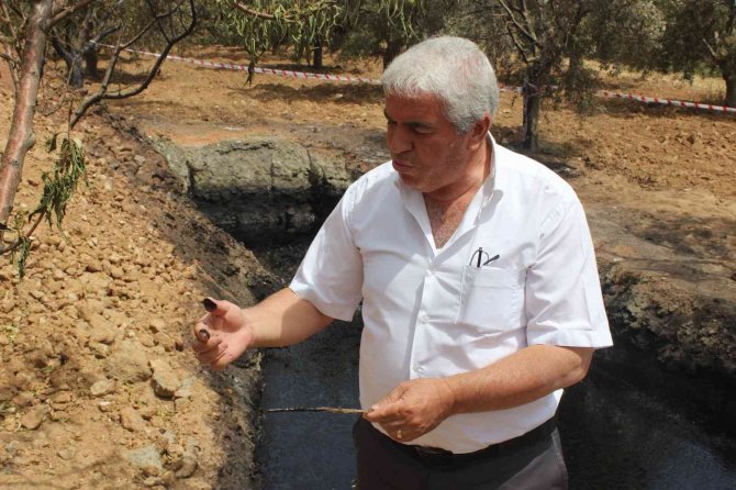 Manisa’da Petrole Benzer Siyah Sıvı Heyecan Uyandırdı