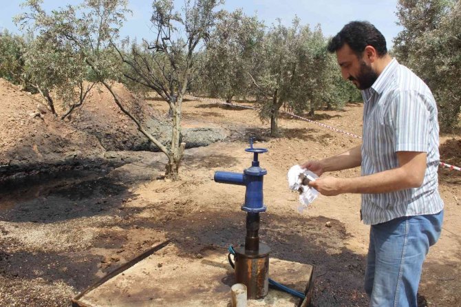 Manisa’da Petrole Benzer Siyah Sıvı Heyecan Uyandırdı