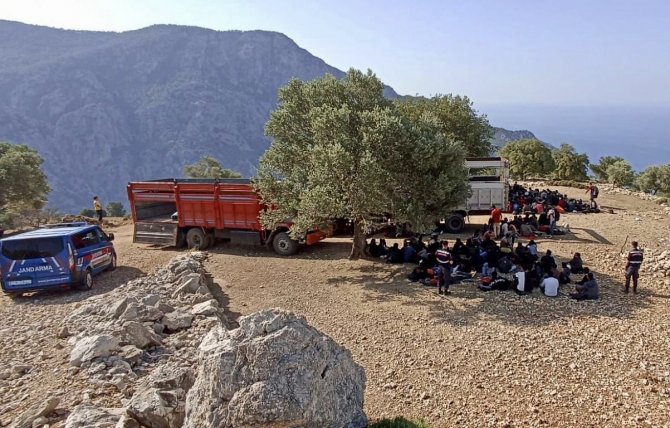 Muğla’da 237 Göçmenin Yakalandığı Operasyonda 3 Tutuklama