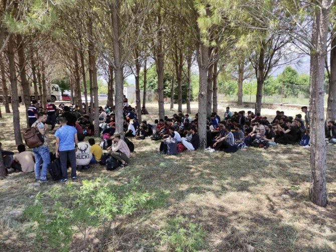 Muğla’da 237 Göçmenin Yakalandığı Operasyonda 3 Tutuklama