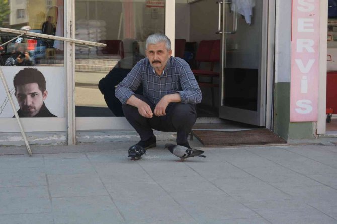Ordu’da Berberin Güvercinlerle Dostluğu