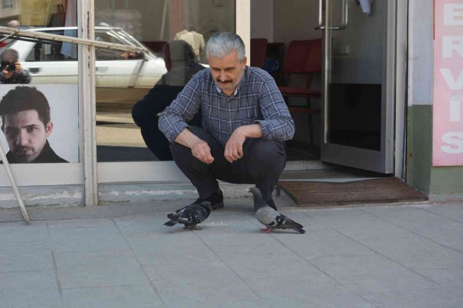 Ordu’da Berberin Güvercinlerle Dostluğu