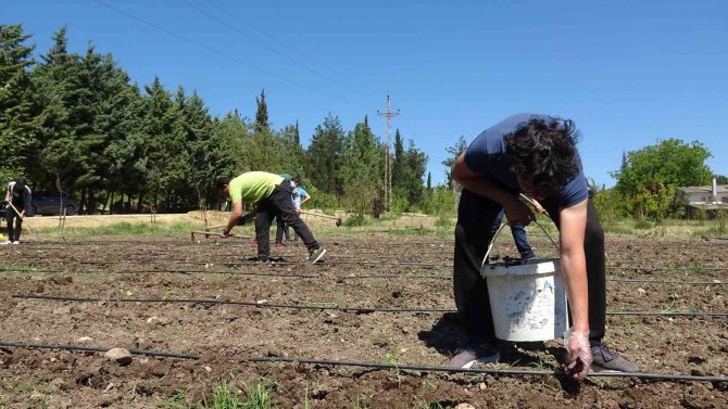 3 Bin Kilometre Uzaktan Doğru Tarım İçin Geldiler
