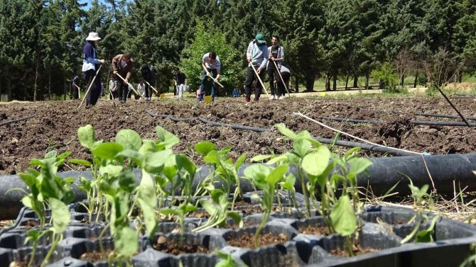 3 Bin Kilometre Uzaktan Doğru Tarım İçin Geldiler