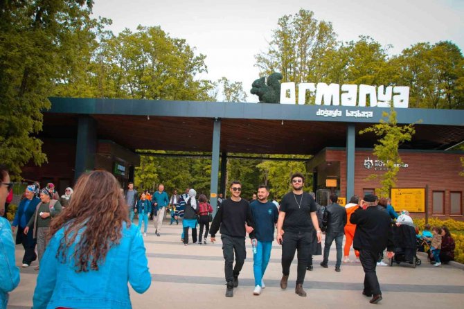 Ormanya, 50 Ülkeyi Geride Bıraktı
