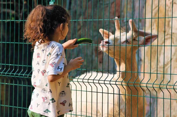 Ailesi ‘Çok Zeki’ Zannediyordu, Gerçek Bambaşka Çıktı