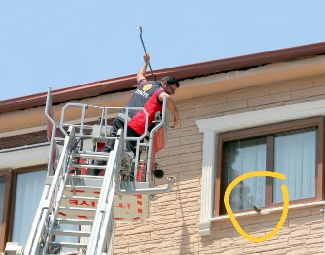 Yalova’da Nesli Tükenmekte Olan Ebabil Kuşu Kurtarma Operasyonu