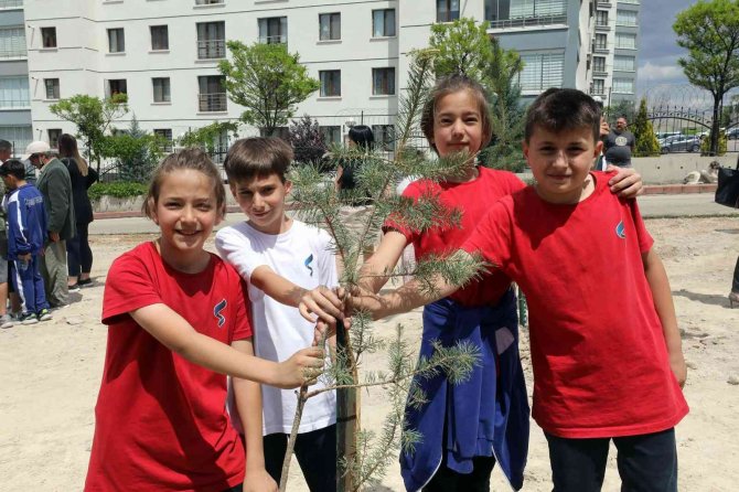Yenimahalle’de 200 Çam Ve Sedir Dikildi