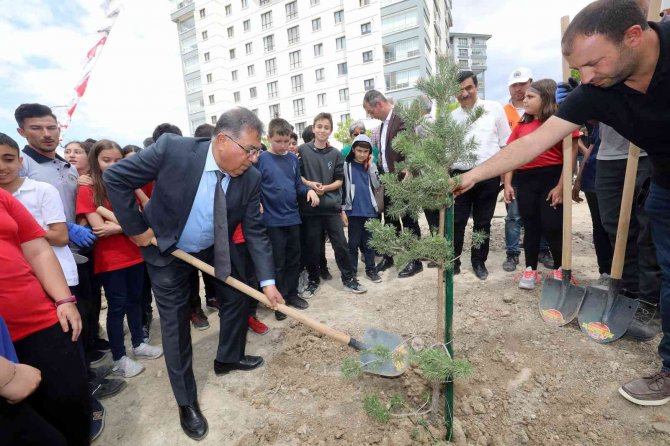 Yenimahalle’de 200 Çam Ve Sedir Dikildi