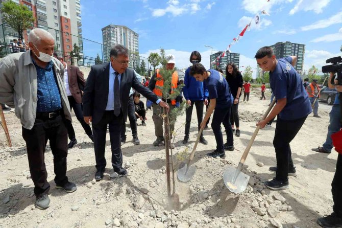Yenimahalle’de 200 Çam Ve Sedir Dikildi