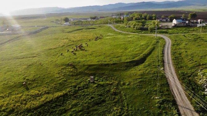 Ağrı, Yeşilin Tonlarıyla Işık Saçtı