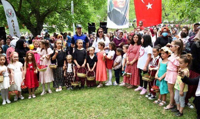 Altınova’da Çilek Tadında Festival