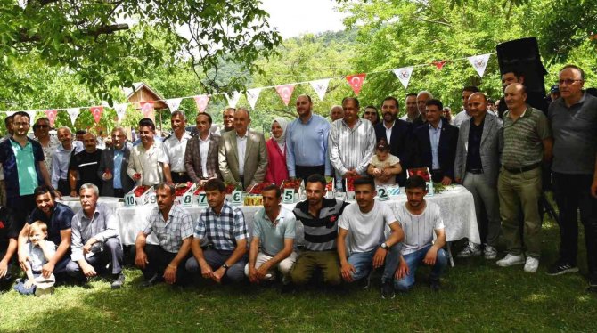 Altınova’da Çilek Tadında Festival