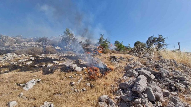 Bodrum’da Otluk Ve Makilik Alanda Yangın