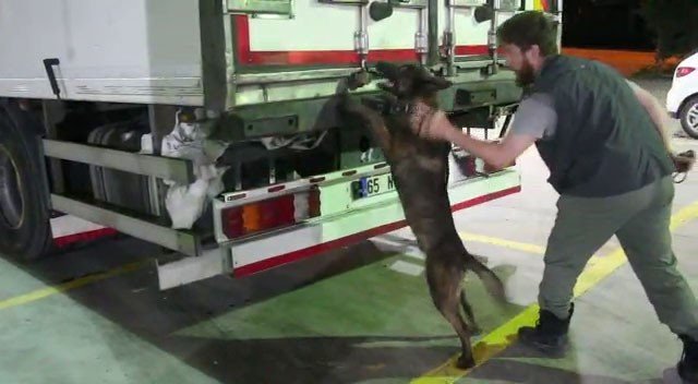 Et Yüklü Kamyonda 4 Kilo 956 Gram Esrar Yakalandı