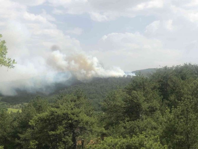 Bolu’da Orman Yangını