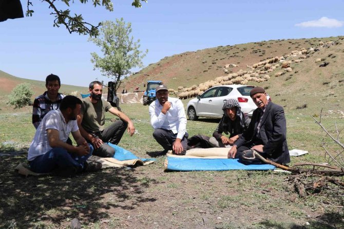 Erzincan’da Göçerlerin Yaylalardaki Mesaisi Başladı
