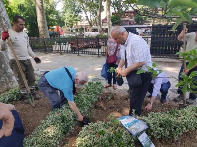 İ̇stanbul, “Isparta Gülü” Kokacak