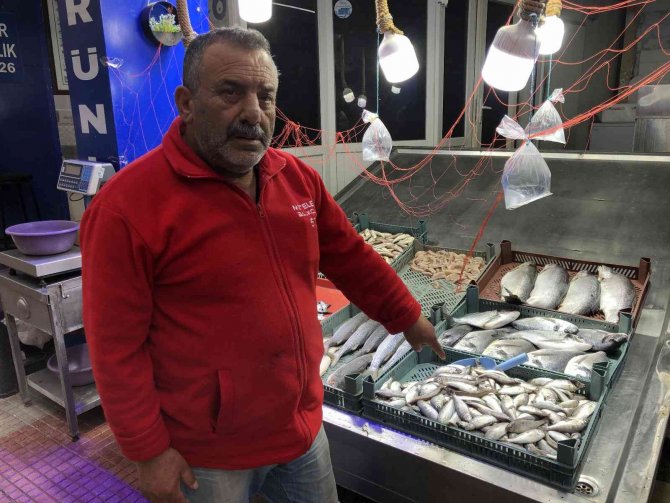 Tezgahları Kıyı Balıkları Süslüyor