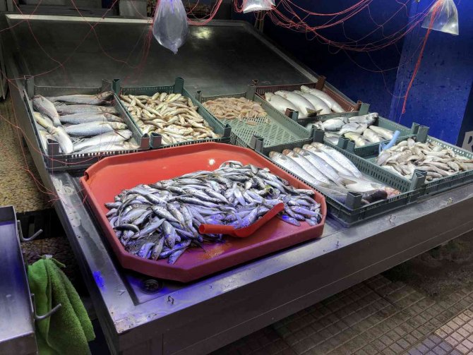 Tezgahları Kıyı Balıkları Süslüyor