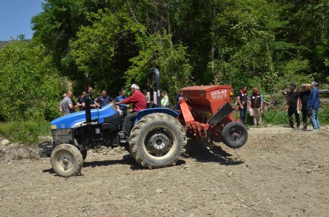 Yüzde 80 Su Tasarruflu Çeltik Ekimi Yapıldı