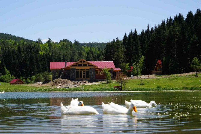 Doğa Turizminin Kalbi Bu İlçede Atacak