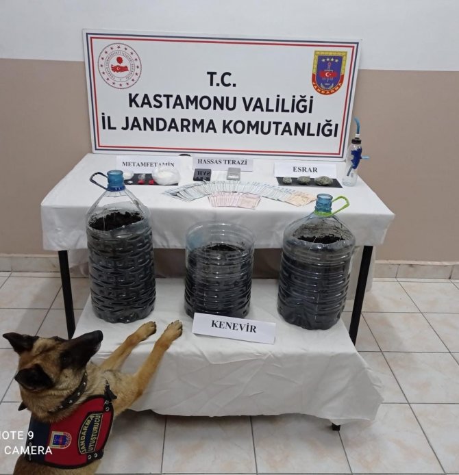 Kastamonu’da Uyuşturucu Operasyonu: 1 Tutuklama
